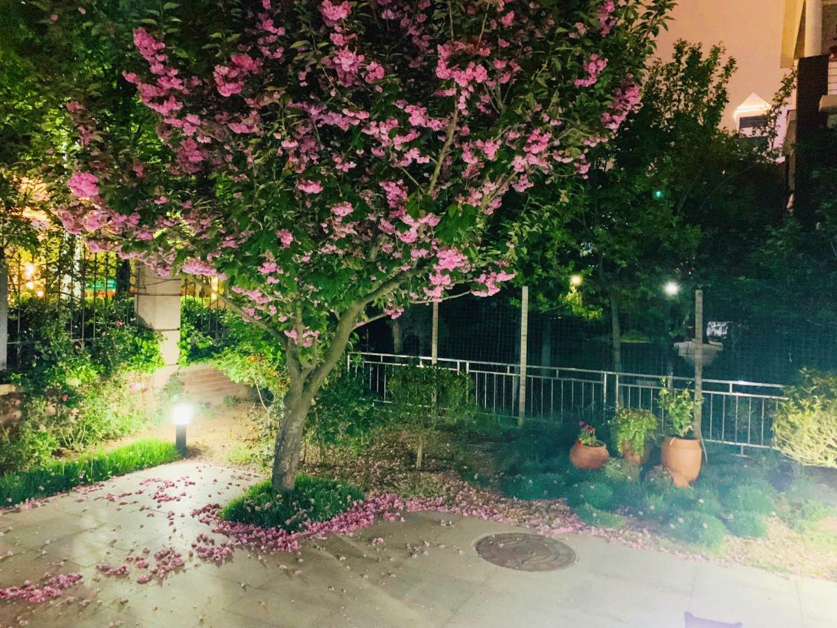 Floral Hotel - Begonia Villa Qingdao Exterior photo